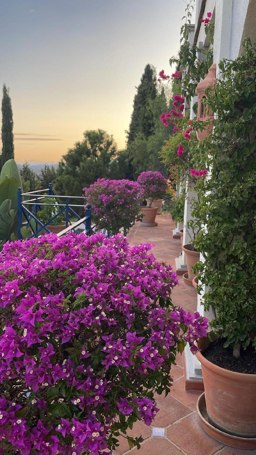 Boutique Hotel Maravilla - Marbella Benahavís Exterior foto